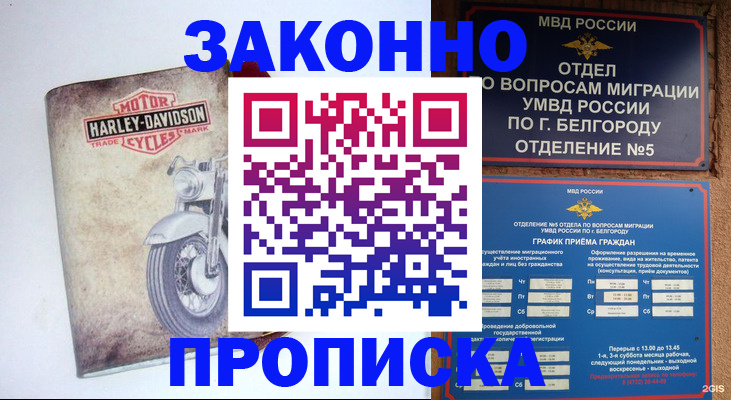 прописка для школы в Канаше